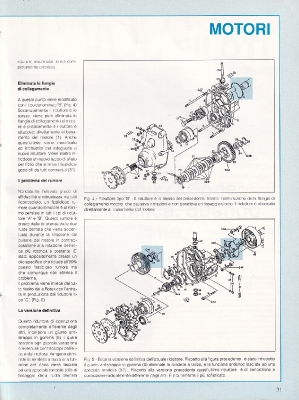 Il Volo n. 35-31